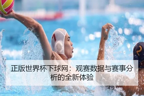 正版世界杯下球网：观赛数据与赛事分析的全新体验